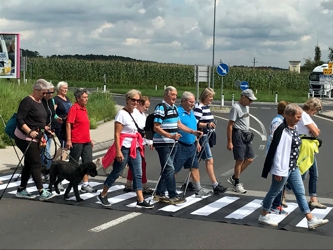 Mehr über den Artikel erfahren Zebrastreifen 2021