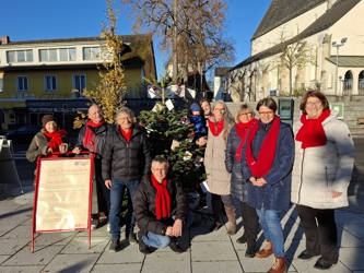 Mehr über den Artikel erfahren Weihnachtsbaumaktion 2024